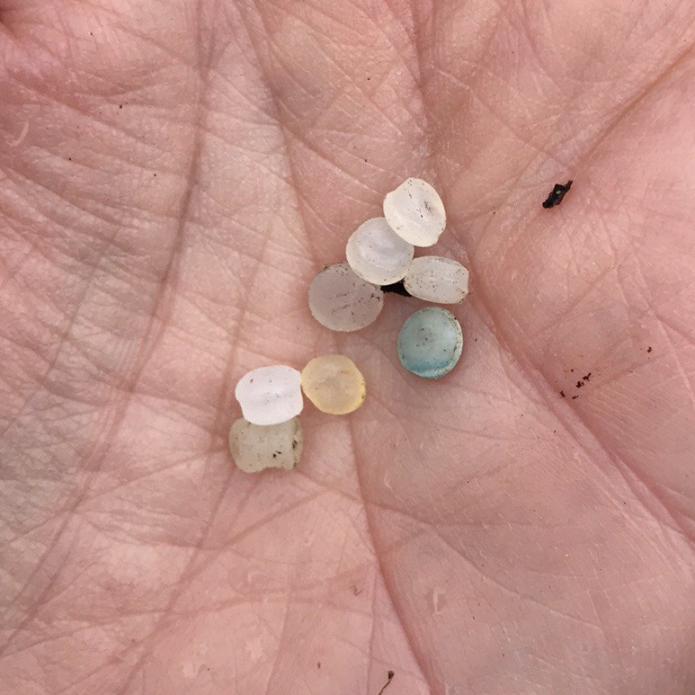 Plastic nurdles collected on a beach clean by Final Straw Solent