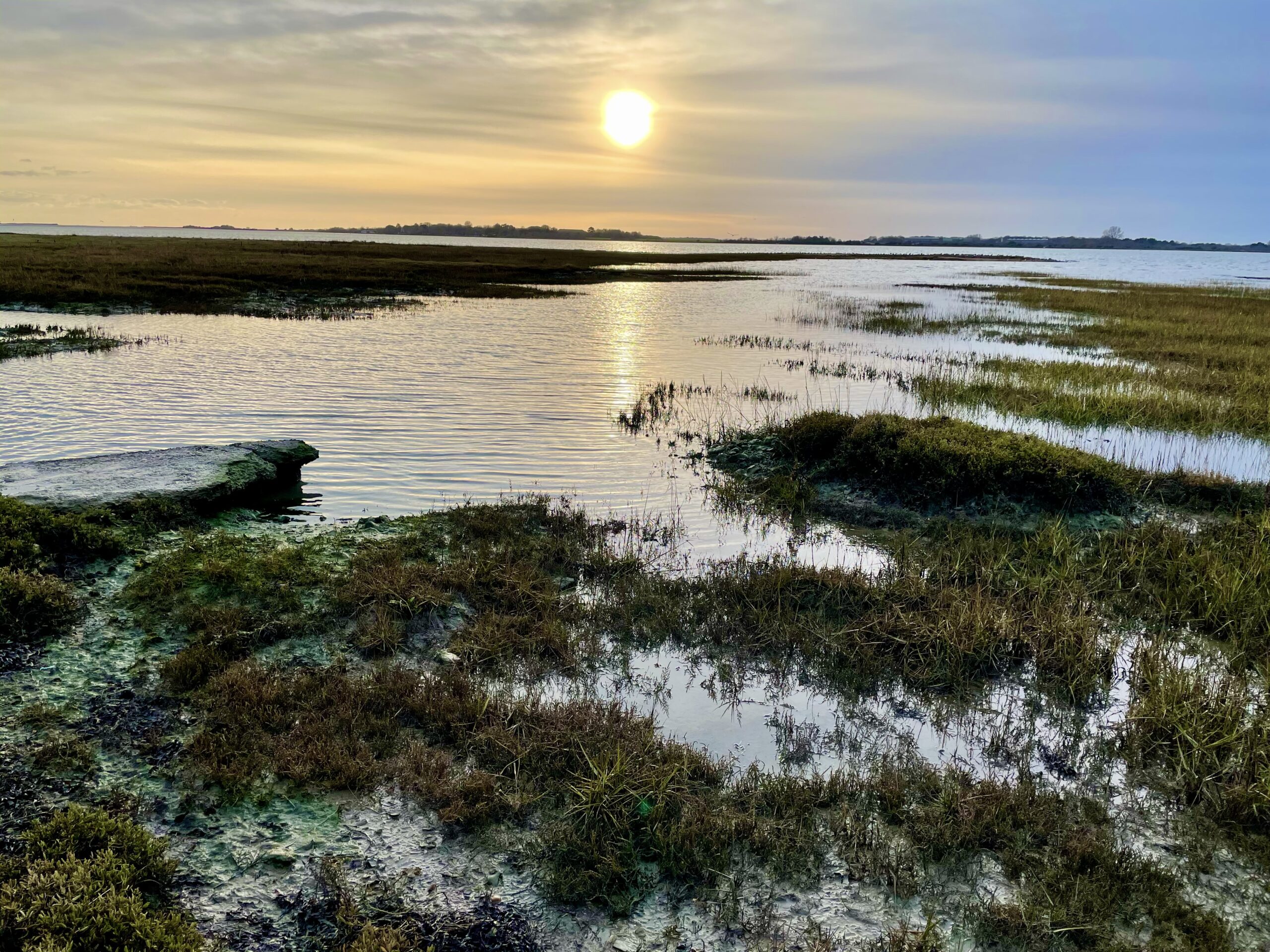 The coastline around Chidham, Chichester