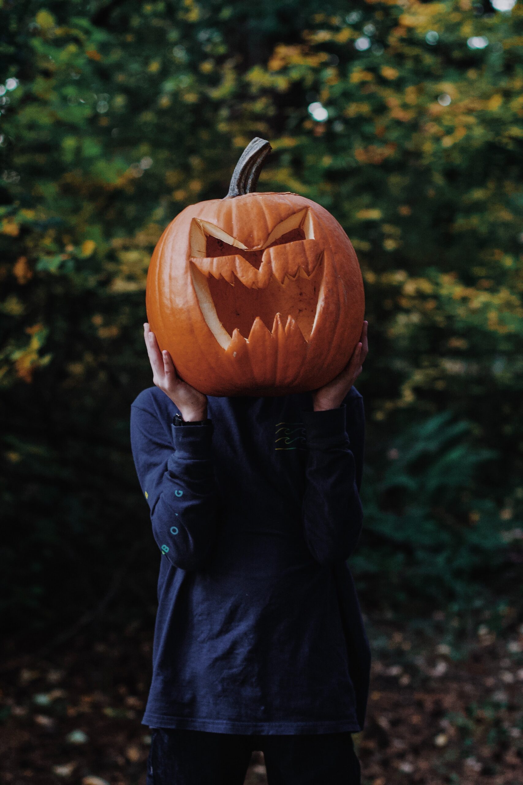 Photo by Zach Lezniewicz on Unsplash