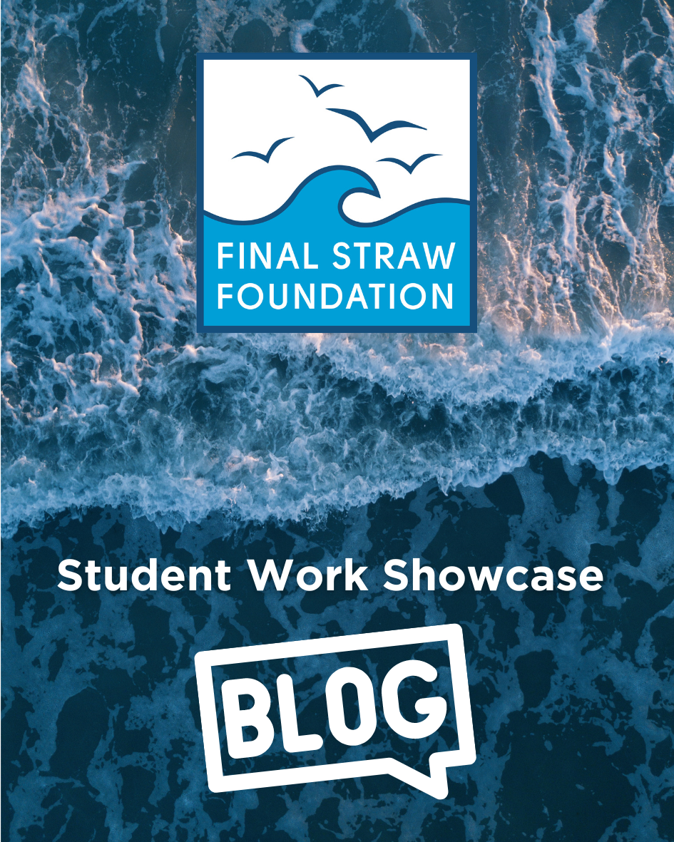 Student Work Featured Image