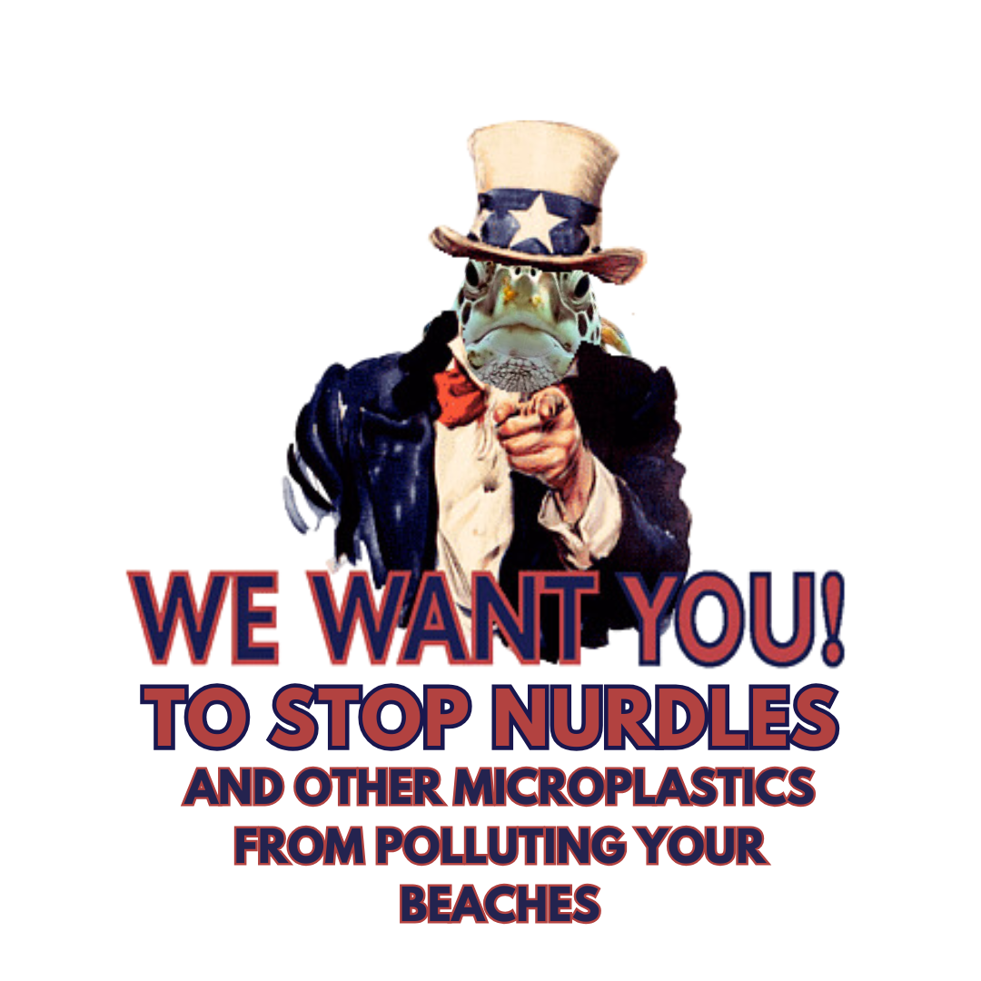 Uncle Sam Turtle IG