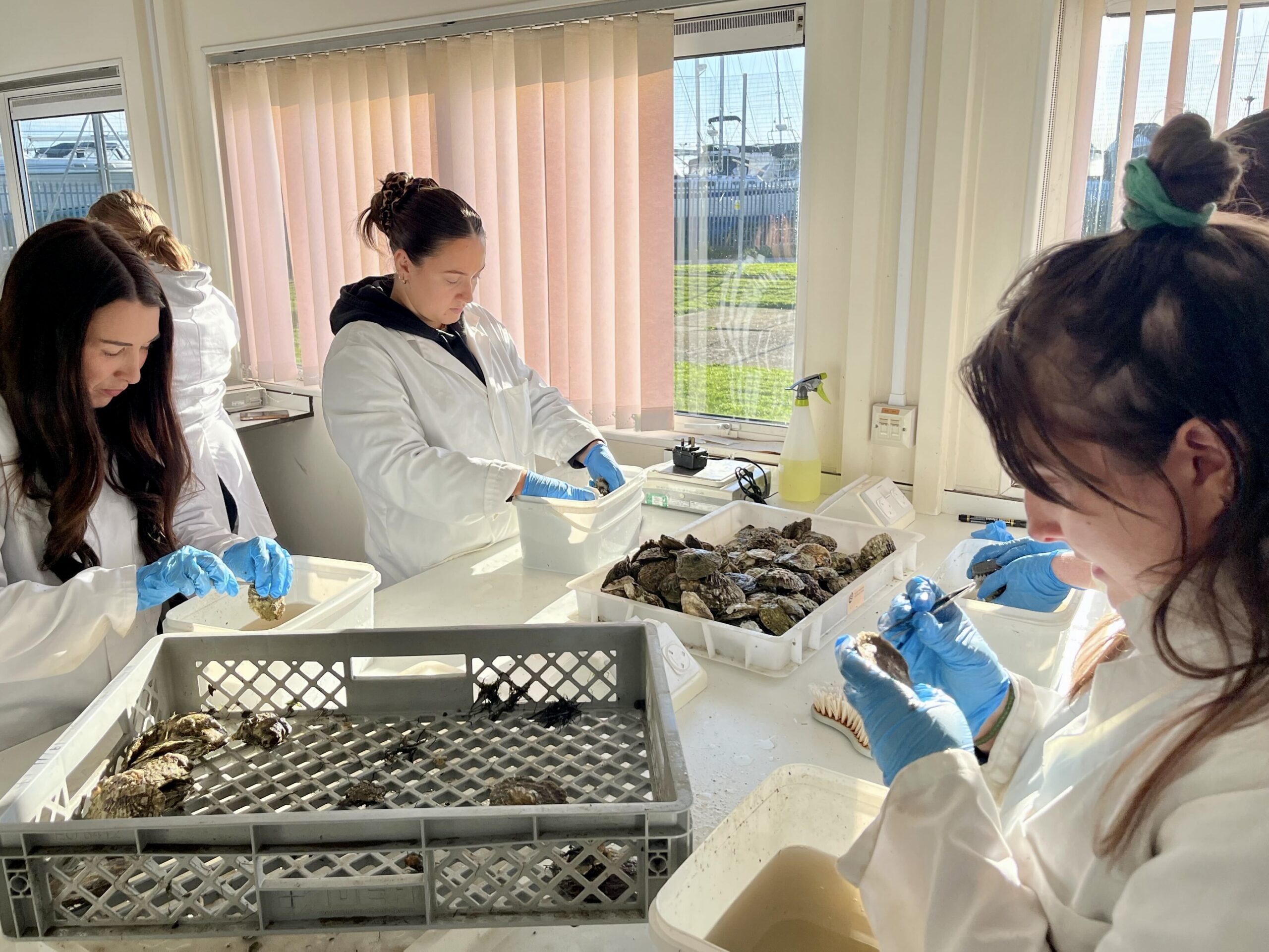 Oyster-scrubbing-c-Final-Straw-Foundation