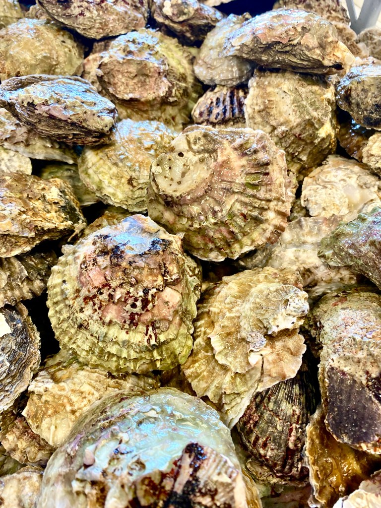 Biodiversity Programmes Biodiversity Programmes